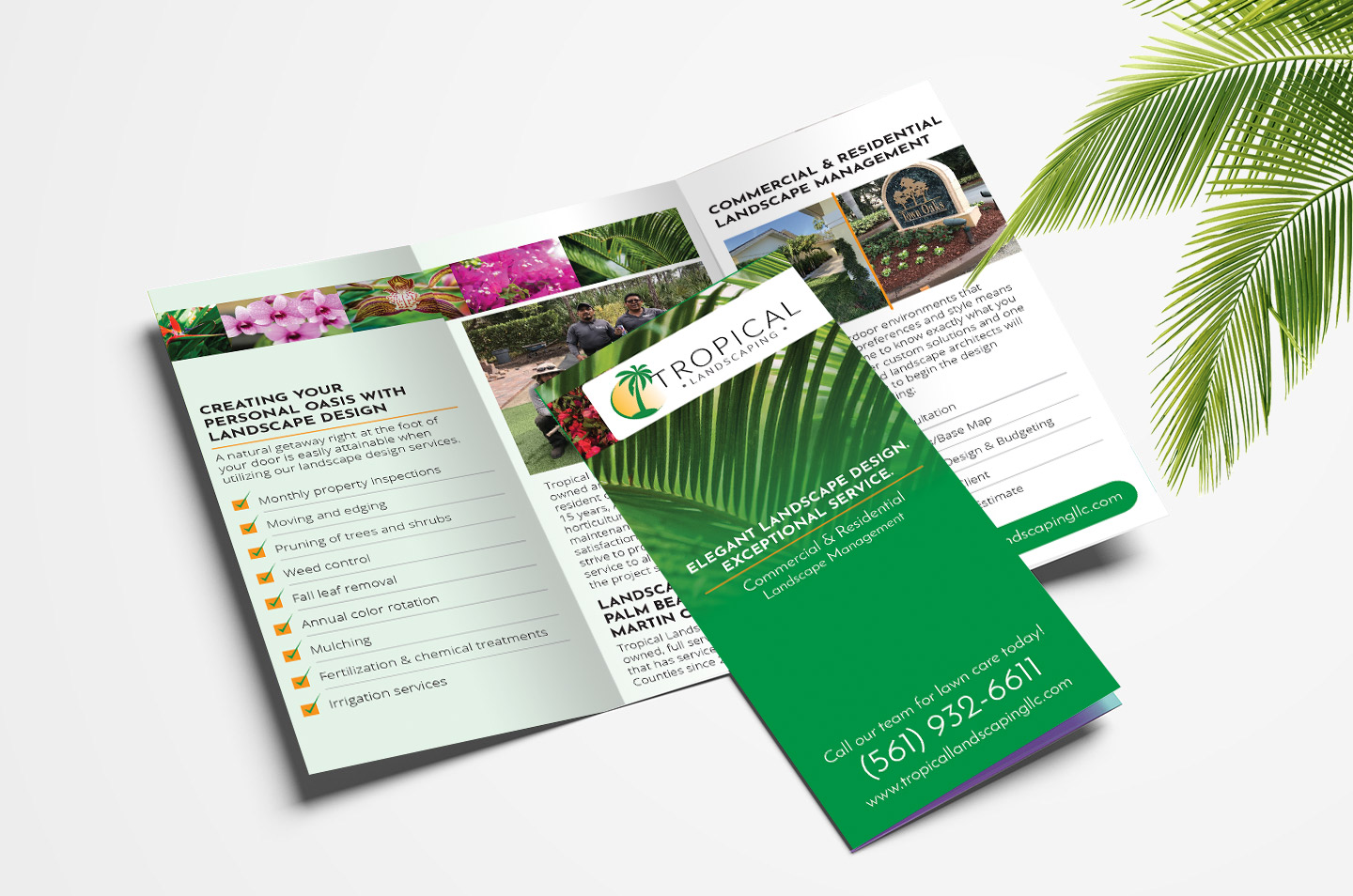 Trifold Brochure Design Portfolio Image